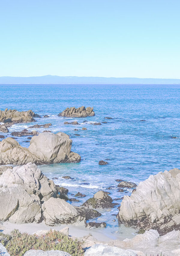 Monterey Bay / Pacific Grove, CA